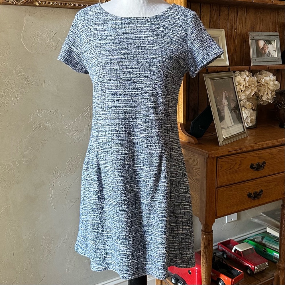 Loft Blue Dress